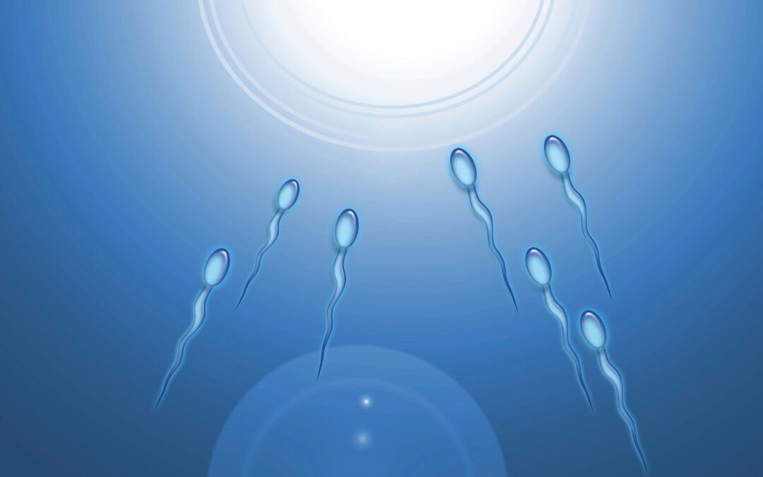 A Guide to Intrauterine Insemination (IUI)