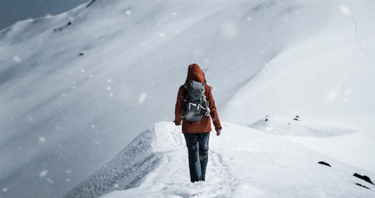 Frozen Embryos, Fresh Hopes: Understanding IVF Options